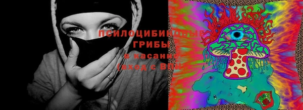 прущая мука Осинники
