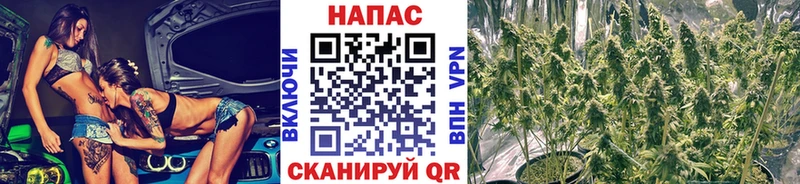 МАРИХУАНА Amnesia  Игра 